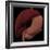 3D Rendering of Liver and Stomach of Human Digestive System-Stocktrek Images-Framed Art Print