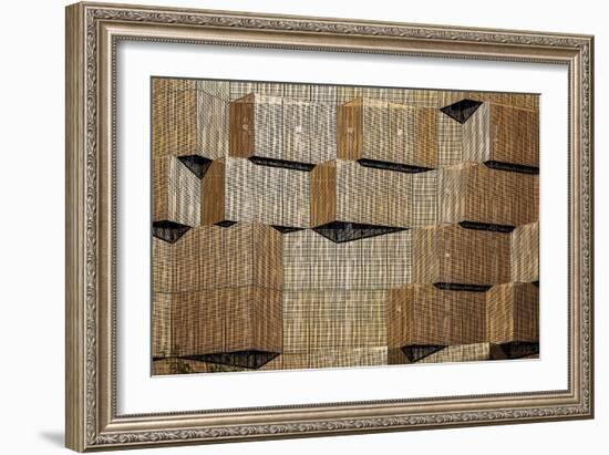 3D Screen-Linda Wride-Framed Giclee Print