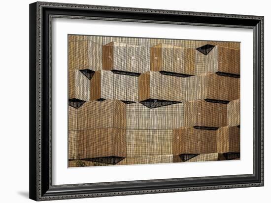 3D Screen-Linda Wride-Framed Giclee Print