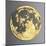 3D Wall Art Picture Modern Moon Gold-deckorator-Mounted Art Print