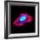 3t3 Culture Cell-David Becker-Framed Premium Photographic Print