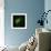 3t3 Culture Cell-David Becker-Framed Premium Photographic Print displayed on a wall