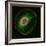 3t3 Culture Cell-David Becker-Framed Premium Photographic Print