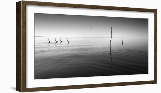 4 Herons-Moises Levy-Framed Photographic Print