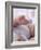 4 Month Old Baby Girl Holding Her Foot-Amanda Hall-Framed Photographic Print