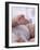 4 Month Old Baby Girl Holding Her Foot-Amanda Hall-Framed Photographic Print