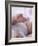 4 Month Old Baby Girl Holding Her Foot-Amanda Hall-Framed Photographic Print