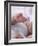 4 Month Old Baby Girl Holding Her Foot-Amanda Hall-Framed Photographic Print