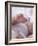 4 Month Old Baby Girl Holding Her Foot-Amanda Hall-Framed Photographic Print