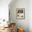 4-Months, Portrait of Tabby-Tortoiseshell-And-White Female Lying on Garden Table with Coneflowers-Jane Burton-Framed Photographic Print displayed on a wall