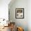 4-Months, Portrait of Tabby-Tortoiseshell-And-White Female Lying on Garden Table with Coneflowers-Jane Burton-Framed Photographic Print displayed on a wall