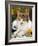 4-Months, Portrait of Tabby-Tortoiseshell-And-White Female Lying on Garden Table with Coneflowers-Jane Burton-Framed Photographic Print