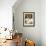 4-Months, Portrait of Tabby-Tortoiseshell-And-White Female Lying on Garden Table with Coneflowers-Jane Burton-Framed Photographic Print displayed on a wall