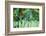 4 Seasons - Spring-Ursula Abresch-Framed Photographic Print