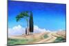 4 Trees, Picenza, Tuscany, 2002-Trevor Neal-Mounted Giclee Print