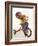 4 Year Old Boy Posing on His Tricycle, New York, New York, USA-Paul Sutton-Framed Photographic Print