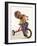 4 Year Old Boy Posing on His Tricycle, New York, New York, USA-Paul Sutton-Framed Photographic Print