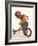 4 Year Old Boy Posing on His Tricycle, New York, New York, USA-Paul Sutton-Framed Photographic Print