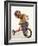 4 Year Old Boy Posing on His Tricycle, New York, New York, USA-Paul Sutton-Framed Photographic Print