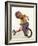 4 Year Old Boy Posing on His Tricycle, New York, New York, USA-Paul Sutton-Framed Photographic Print