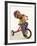 4 Year Old Boy Posing on His Tricycle, New York, New York, USA-Paul Sutton-Framed Photographic Print