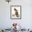 4 Year Old Boy Posing on His Tricycle, New York, New York, USA-Paul Sutton-Framed Photographic Print displayed on a wall