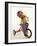 4 Year Old Boy Posing on His Tricycle, New York, New York, USA-Paul Sutton-Framed Photographic Print