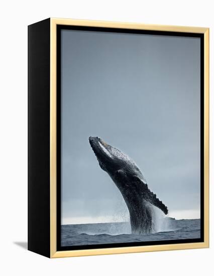 40 Ton-Design Fabrikken-Framed Premier Image Canvas