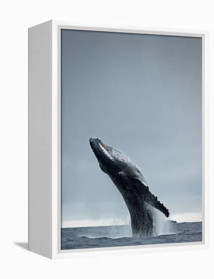 40 Ton-Design Fabrikken-Framed Premier Image Canvas