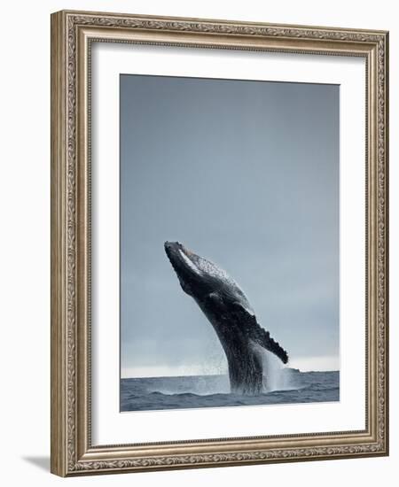 40 Ton-Design Fabrikken-Framed Photographic Print