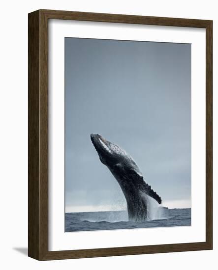 40 Ton-Design Fabrikken-Framed Photographic Print