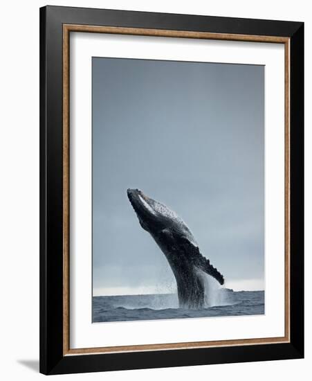 40 Ton-Design Fabrikken-Framed Photographic Print