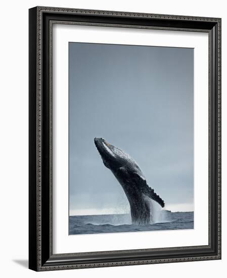 40 Ton-Design Fabrikken-Framed Photographic Print