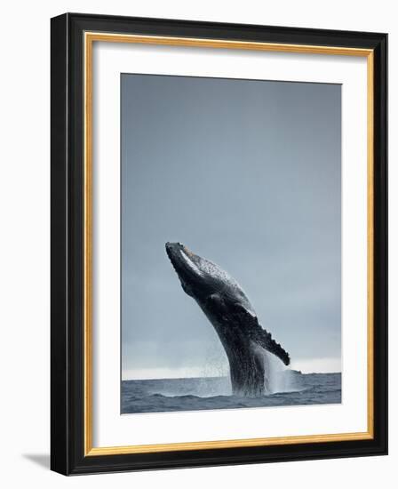 40 Ton-Design Fabrikken-Framed Photographic Print