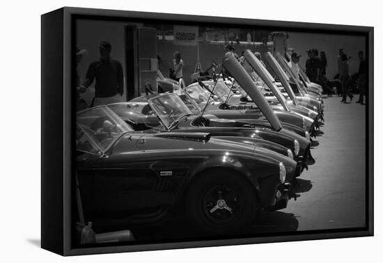 427 Cobras-NaxArt-Framed Stretched Canvas