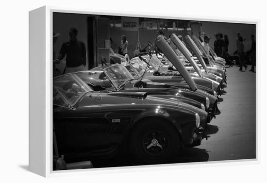 427 Cobras-NaxArt-Framed Stretched Canvas