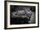 427 Cobras-NaxArt-Framed Photo