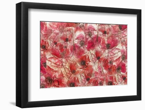 4446_Frozen poppies-Heidi Westum-Framed Photographic Print