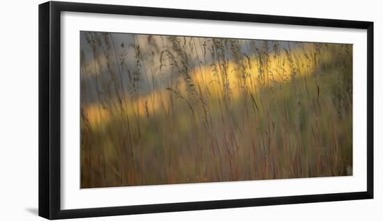 448-Dan Ballard-Framed Photographic Print