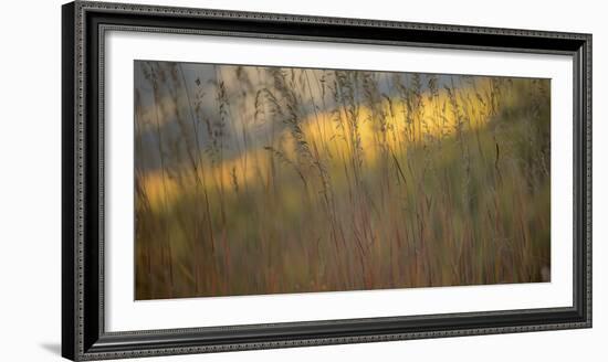 448-Dan Ballard-Framed Photographic Print