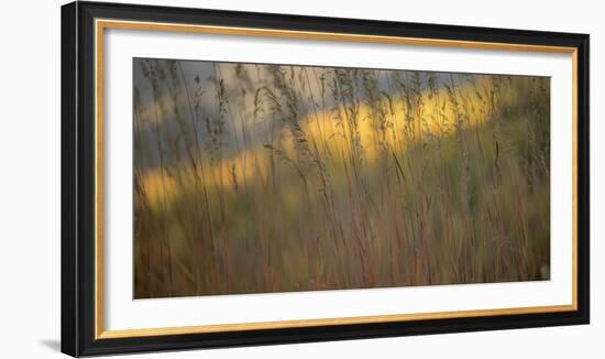 448-Dan Ballard-Framed Photographic Print