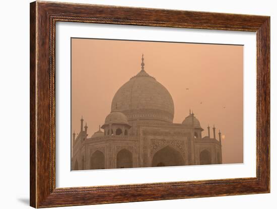 466-Dan Ballard-Framed Photographic Print