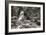 477-Glacier-2016-B&W-Gordon Semmens-Framed Photographic Print