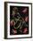 47CO-Pierre Henri Matisse-Framed Giclee Print