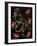 47CO-Pierre Henri Matisse-Framed Giclee Print