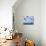 48CO-Pierre Henri Matisse-Mounted Giclee Print displayed on a wall