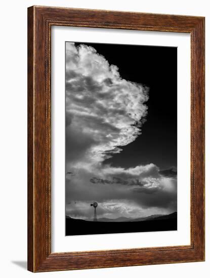 497-Dan Ballard-Framed Photographic Print