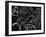 4-Pierre Henri Matisse-Framed Giclee Print