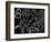 4-Pierre Henri Matisse-Framed Giclee Print