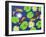 4CO-Pierre Henri Matisse-Framed Giclee Print